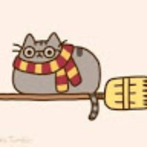 Meet your Posher, Riley